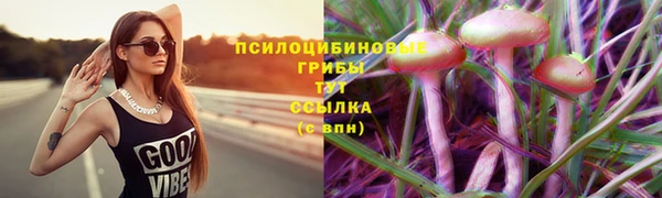 mix Богородицк