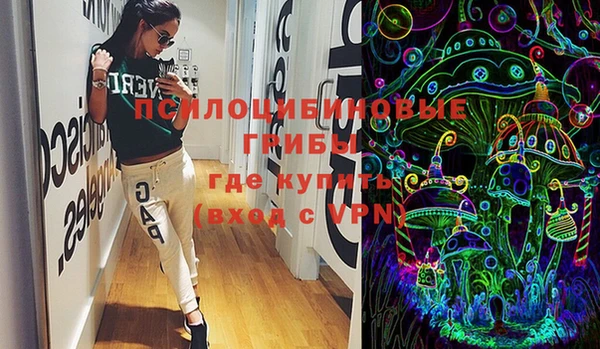 ешки Богданович