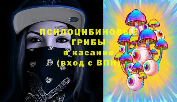 прущие грибы Беломорск