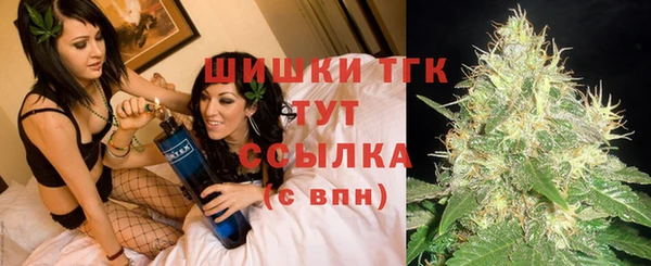 молекула духа Бугульма