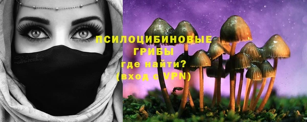 молекула духа Бугульма