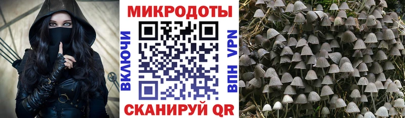 Галлюциногенные грибы мицелий  Городовиковск 